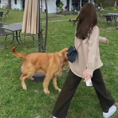 拳愿阿修罗第二季