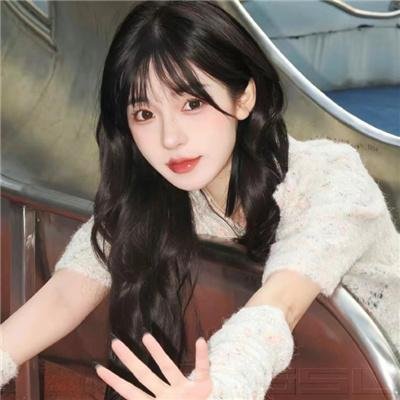 美国叛徒：轴心莎莉的审判